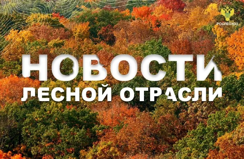 Post by “РОСЛЕСХОЗ” from October 1, 2026