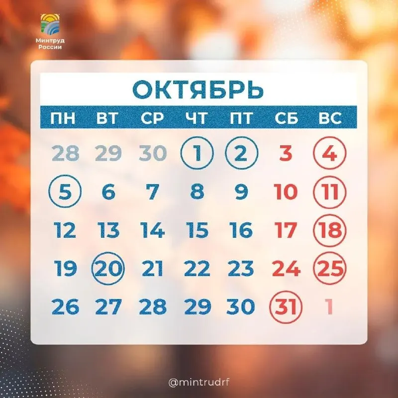 Пост канала «Новости Минтруда РФ» от 29 сентября 2026 г.