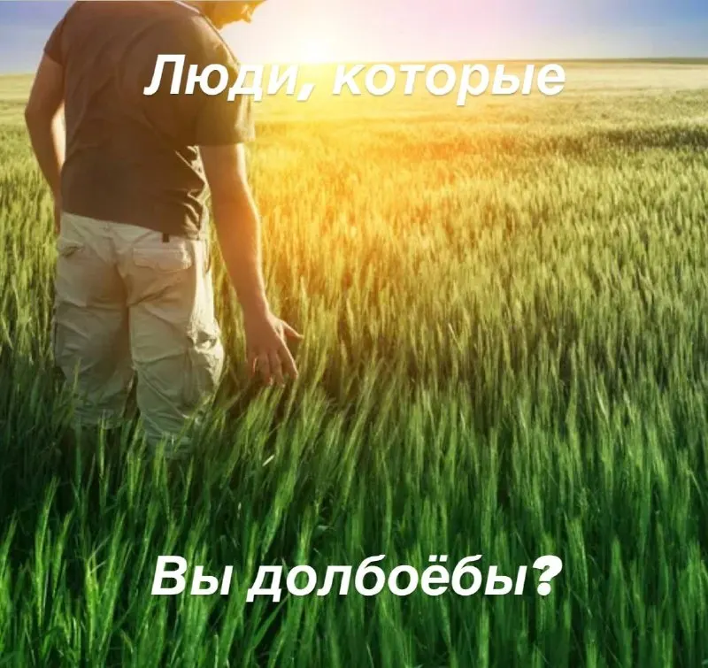 Post by “SHAPKA” from September 27, 2026