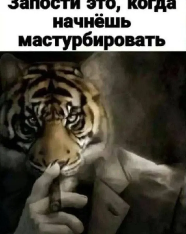 Post by “SHAPKA” from September 30, 2026