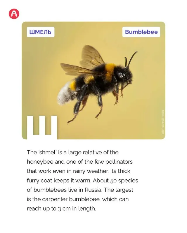 Post by “Gateway to Russia” from September 30, 2026