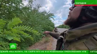 Пост канала «Крылатые» от 30 сентября 2026 г.