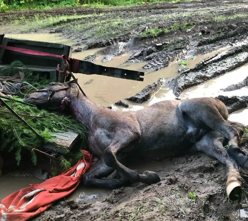 Пост из НОВОСТИ 📰