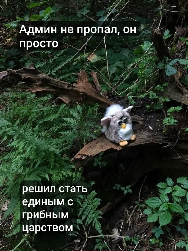Пост канала «Kali Novskaya» от 7 сентября 2026 г.