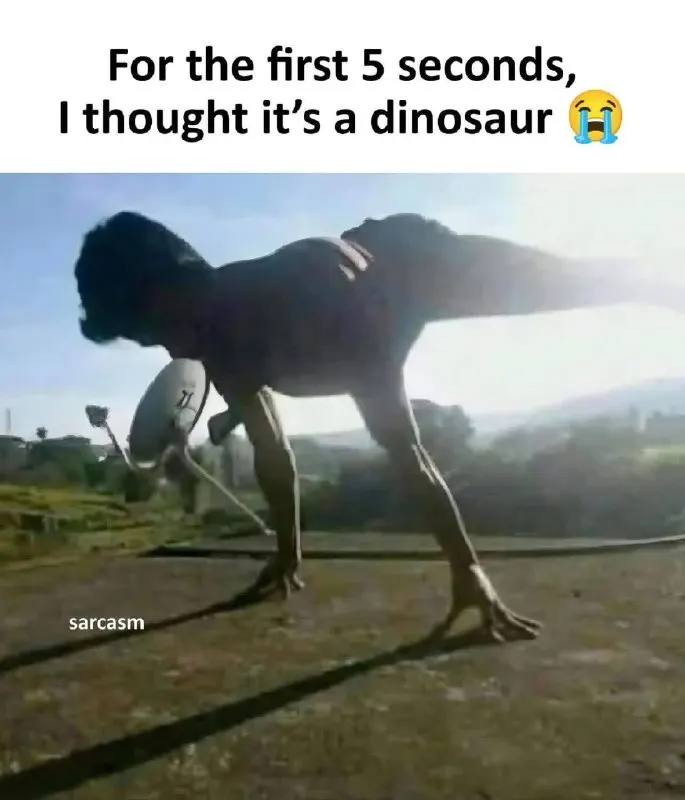 Post by “Sarcasm” from September 29, 2026