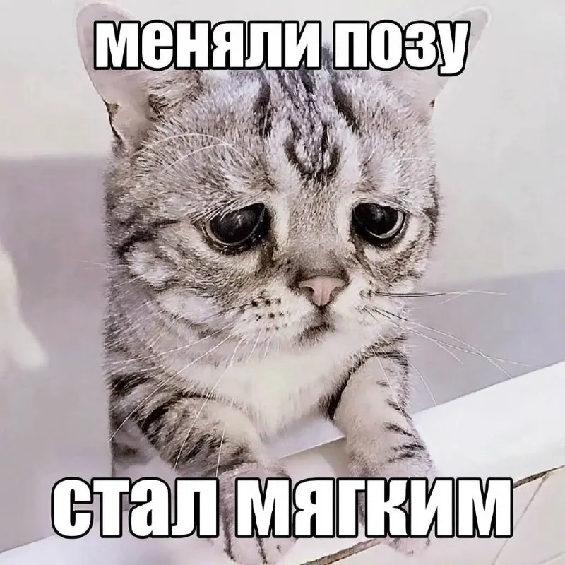 Post by “Проблемы современных влюбленных” from September 30, 2026