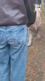 Пост из SHOT