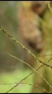 Post by “Нега для очей😍” from October 1, 2026