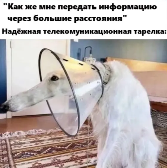Post by “Дневник связиста Кибы📡💤” from September 20, 2026