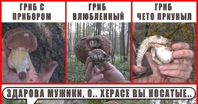 Пост канала «блядки» от 29 сентября 2026 г.