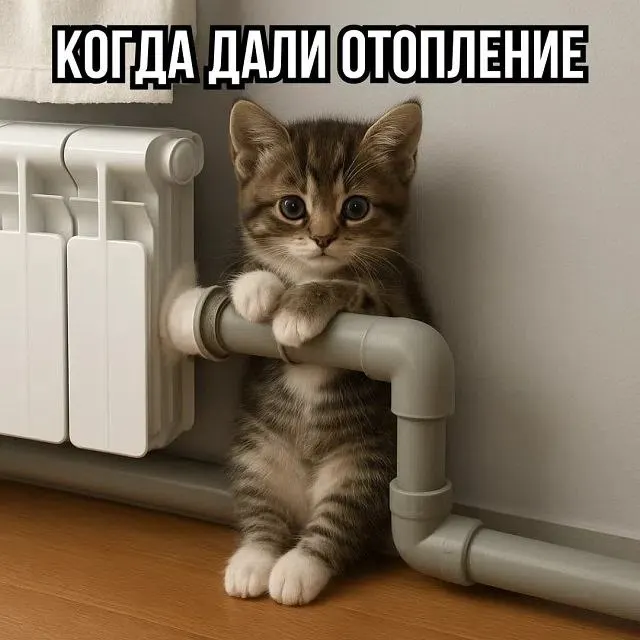 Пост канала «Сланцы - не тапки» от 30 сентября 2026 г.