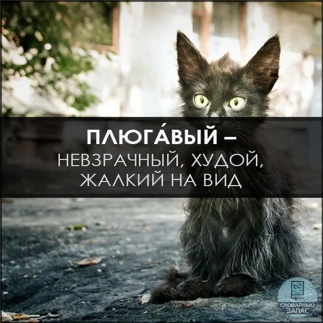 Пост канала «Словарный запас | Саморазвитие» от 28 сентября 2026 г.