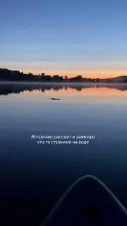 Пост канала «Мягкие Лапки 🐾» от 29 сентября 2026 г.