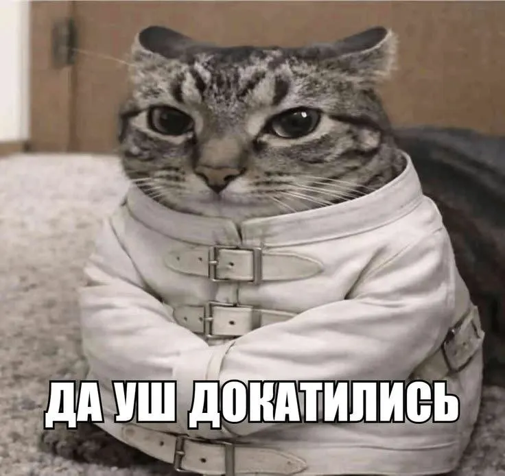 Post by “Солевая атака” from October 1, 2026