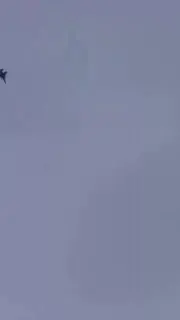 Пост канала «Соняшник🦅» от 1 октября 2026 г.