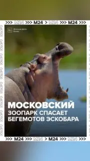 Пост канала «Сортировочная» от 30 сентября 2026 г.