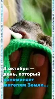 Пост из Сортировочная