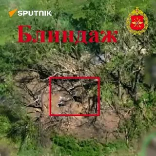 Пост канала «Sputnik Africa» от 1 октября 2026 г.