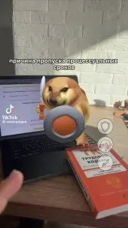 Пост канала «Искушение святого Антония» от 30 сентября 2026 г.