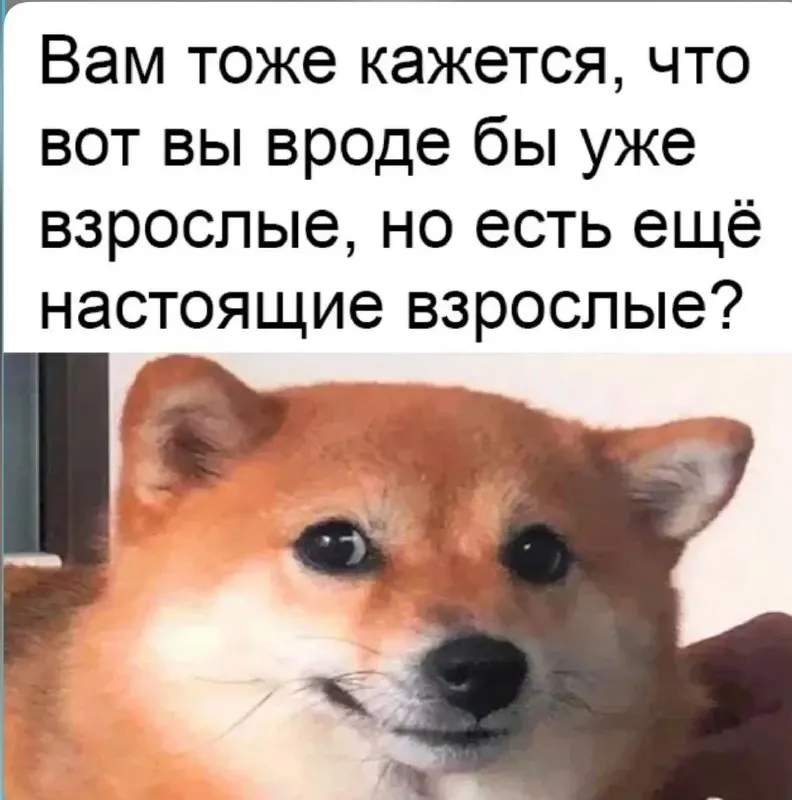 Пост канала «Стрелец-Молодец» от 1 октября 2026 г.