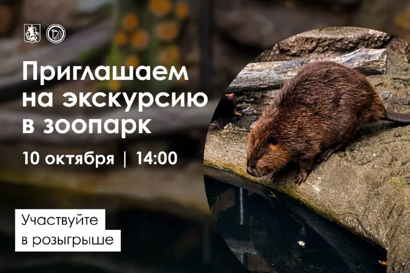 Post by “Градостроительный комплекс Москвы” from October 1, 2026