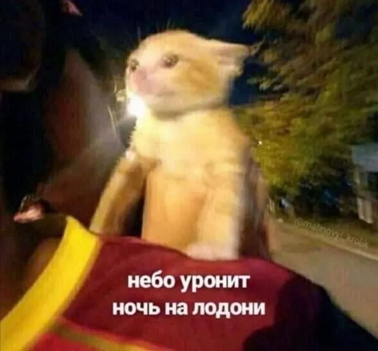 Пост канала «Тапки наизнанку» от 30 сентября 2026 г.