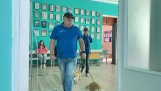Пост из ТАСС / Юг