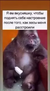 Пост канала «Новости Шеремета 9½» от 1 октября 2026 г.