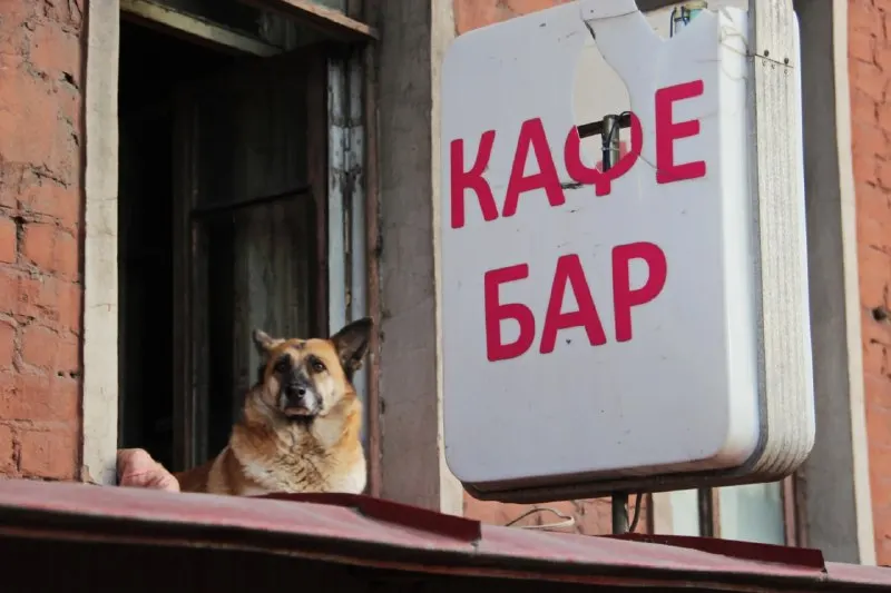 Пост из Вечерний Телеграмъ