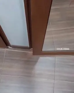 Post by “Tik Tok” from September 28, 2026