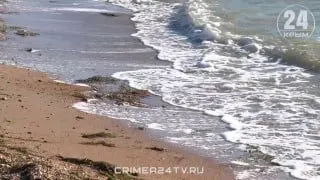 Пост канала «Крым 24 |Z| Все новости Крыма» от 30 сентября 2026 г.