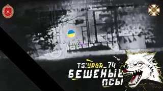 Пост канала «Бешеные псы» от 26 сентября 2026 г.