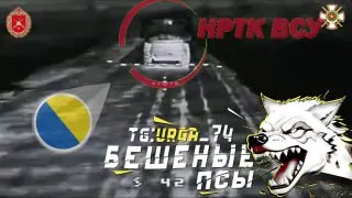 Пост канала «Бешеные псы» от 28 сентября 2026 г.
