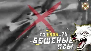 Пост канала «Бешеные псы» от 30 сентября 2026 г.