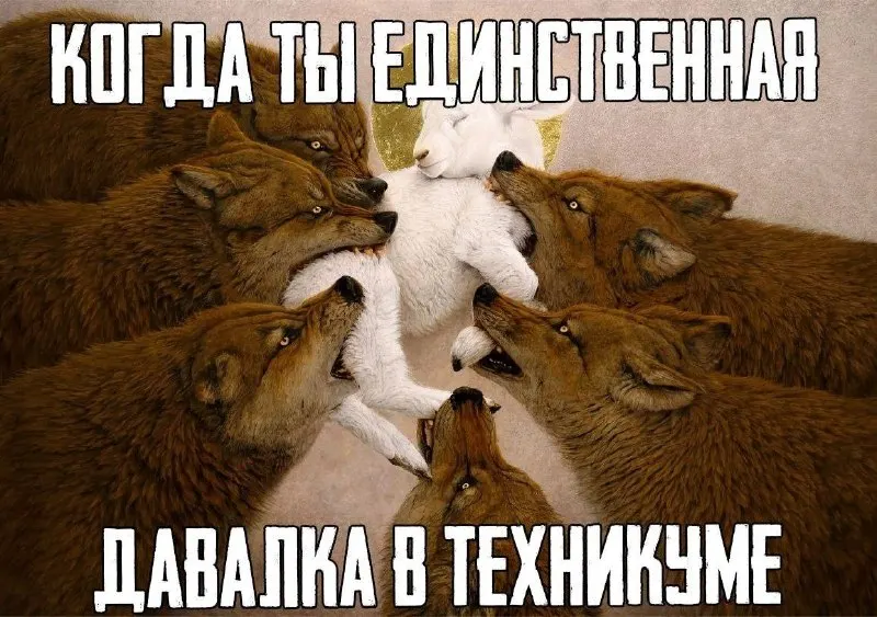 Пост канала «Волт-Мем» от 1 октября 2026 г.