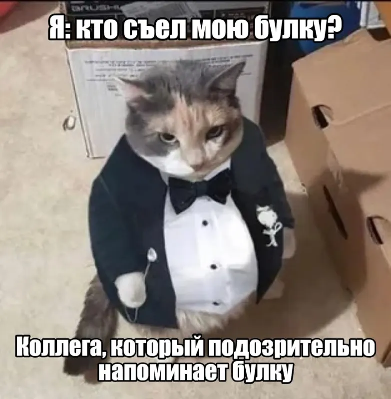 Пост канала «ВЕДЫ» от 30 сентября 2026 г.