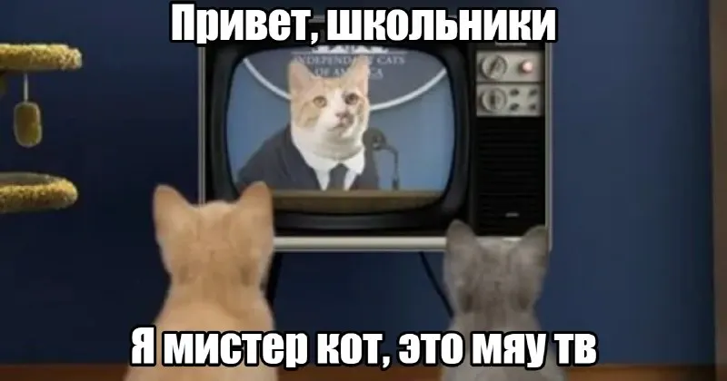 Пост канала «ВЕДЫ» от 30 сентября 2026 г.