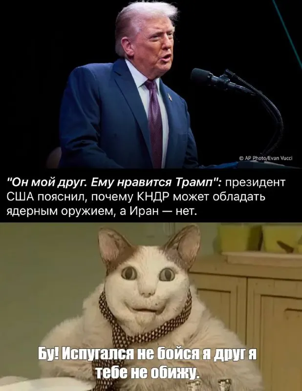 Пост канала «Viclectica» от 29 сентября 2026 г.