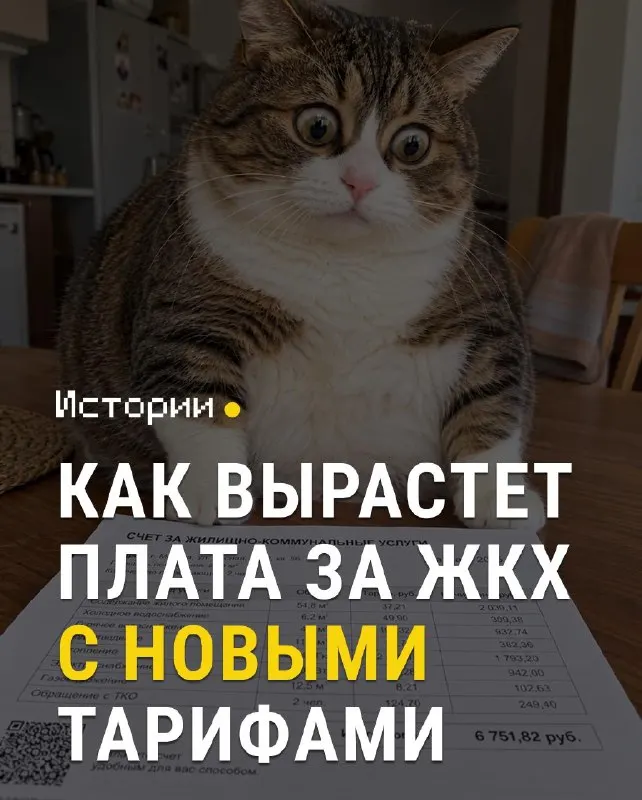 Пост канала «VLADIVOSTOK1.RU | Новости Приморья» от 1 октября 2026 г.