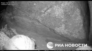 Пост канала «VLADIVOSTOK1.RU | Новости Приморья» от 1 октября 2026 г.