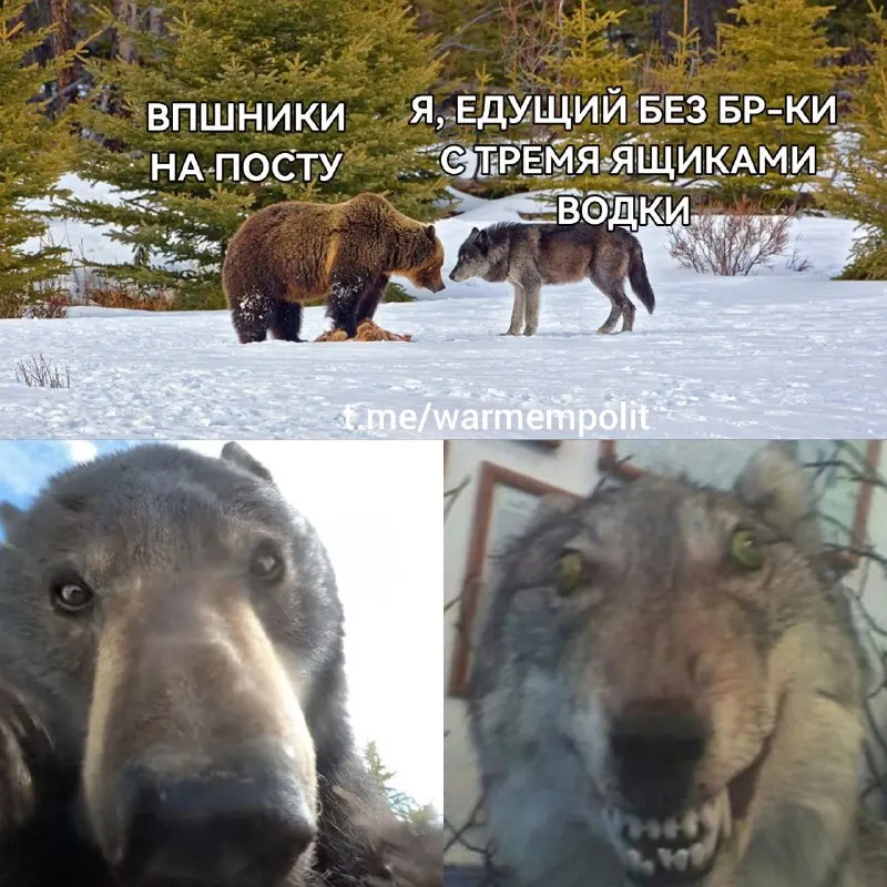 Пост канала «W. M. P.» от 30 сентября 2026 г.