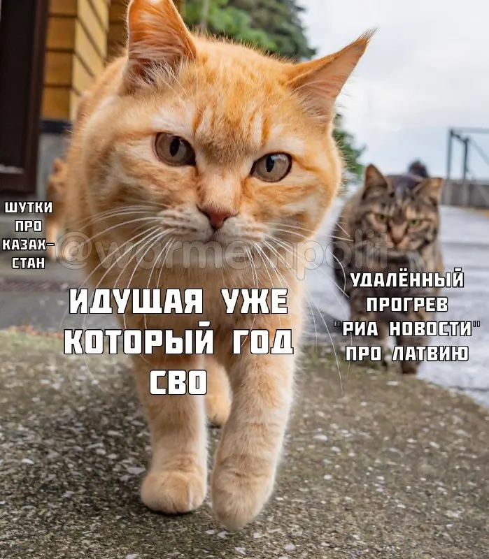 Пост канала «W. M. P.» от 30 сентября 2026 г.