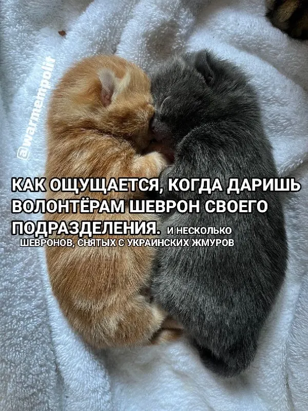 Пост канала «W. M. P.» от 30 сентября 2026 г.