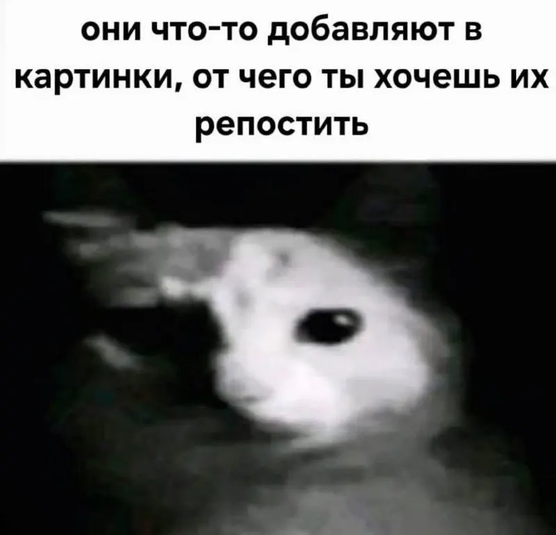 Post by “Запястье Пумы” from September 30, 2026