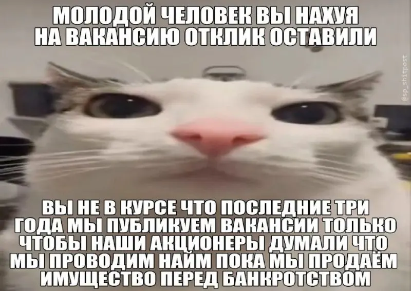 Post by “Запястье Пумы” from October 1, 2026