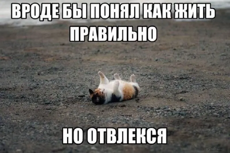 Post by “Запястье Пумы” from October 1, 2026