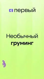 Post by “ЯПервый” from October 1, 2026