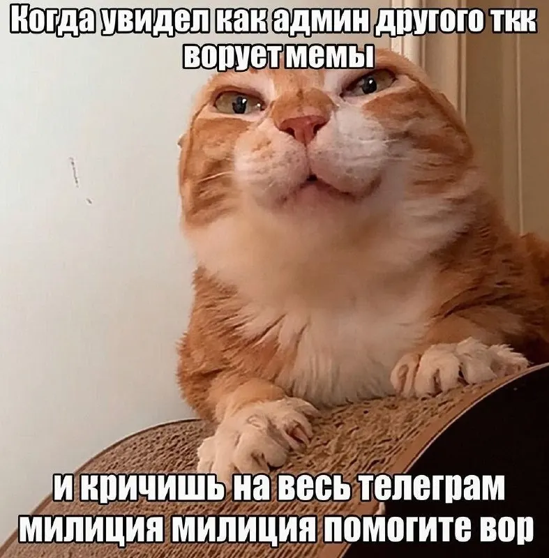 Пост канала «Yaplakal.com» от 1 октября 2026 г.