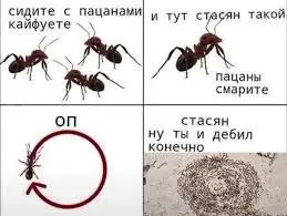 Пост канала «Young P&H» от 26 сентября 2026 г.