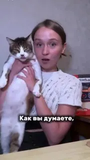 Пост канала «Записки какого-то мужика» от 26 сентября 2026 г.